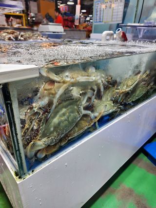 별빛나그네화성님의 자유주제 · 자유게시판 작성글 사진