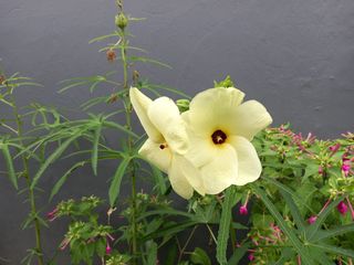 연향님의 작성글 사진