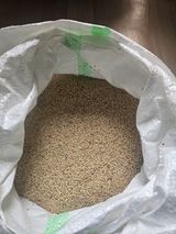 팜모닝 · 게시글 이미지