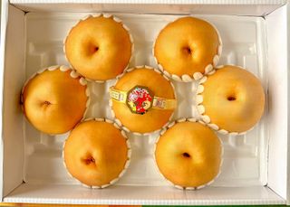 농부손녀님의 작성글 사진