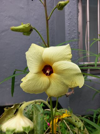 연향님의 작성글 사진