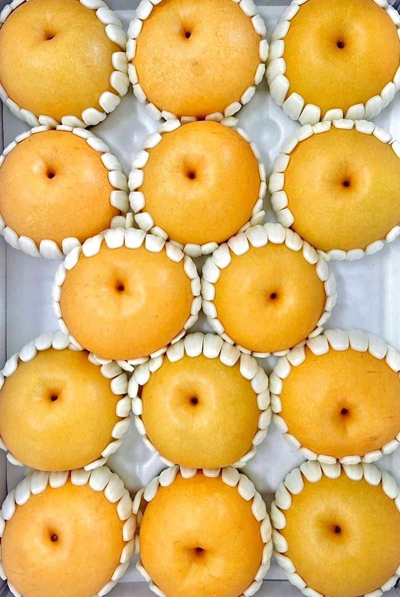 농부손녀님의 장터 판매 상품 [[명품] 임금님 햇 배 선물세트 7.5kg] 첨부 사진