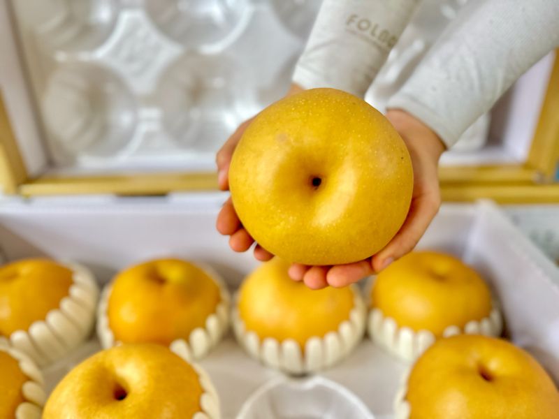 농부손녀님의 장터 판매 상품 [[명품] 임금님 햇 배 선물세트 7.5kg] 첨부 사진