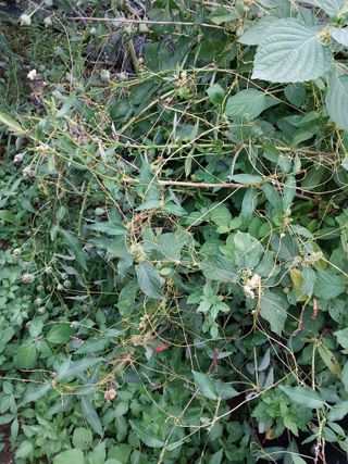 김석중님의 자유주제 · 자유게시판 작성글 사진