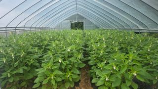 정태권님의 작성글 사진