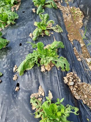 감20280님의 자유주제 · 자유게시판 작성글 사진