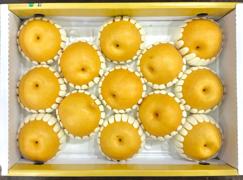 농부손녀님의 장터 판매 상품 [[명품] 임금님 햇 배 선물세트 7.5kg] 첨부 사진