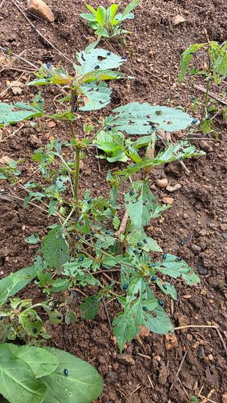 노한수님의 자유주제 · 자유게시판 작성글 사진