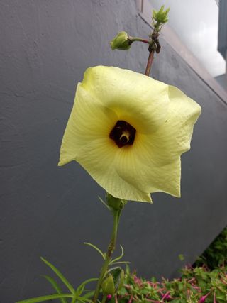 연향님의 작성글 사진