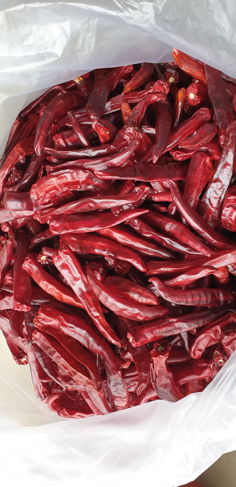 장터 상품 [건고추/고추가루] 썸네일