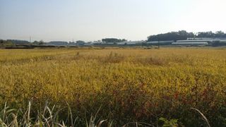 별빛나그네화성님의 자유주제 · 자유게시판 작성글 사진