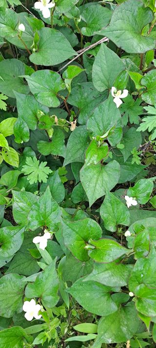 백순분님의 작성글 사진