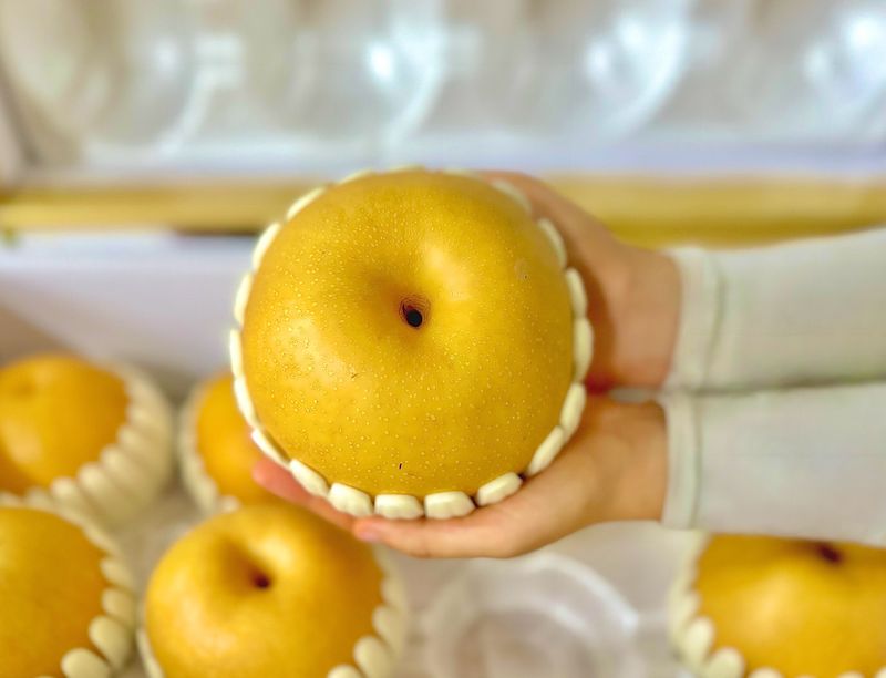 농부손녀님의 장터 판매 상품 [[명품] 임금님 햇 배 선물세트 7.5kg] 첨부 사진