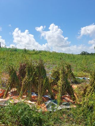 고사리9794님의 자유주제 · 자유게시판 작성글 사진