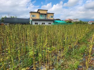 댕이골표영환님의 자유주제 · 자유게시판 작성글 사진