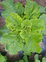 팜모닝 자유주제·사진전 게시글 이미지