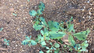 노한수님의 자유주제 · 자유게시판 작성글 사진