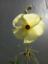 팜모닝 · 게시글 이미지