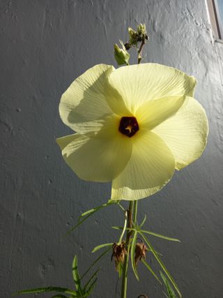 연향님의 작성글 사진