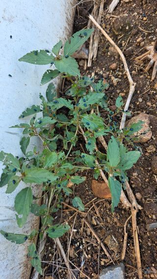 노한수님의 자유주제 · 자유게시판 작성글 사진