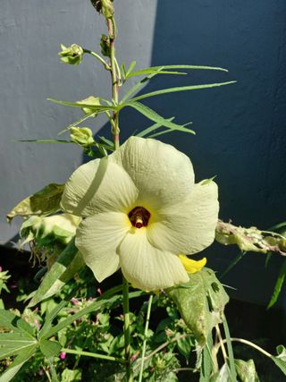 연향님의 작성글 사진