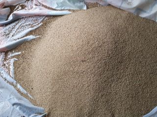 고사리9794님의 자유주제 · 자유게시판 작성글 사진