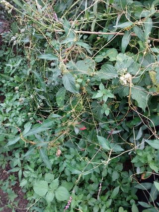 김석중님의 자유주제 · 자유게시판 작성글 사진