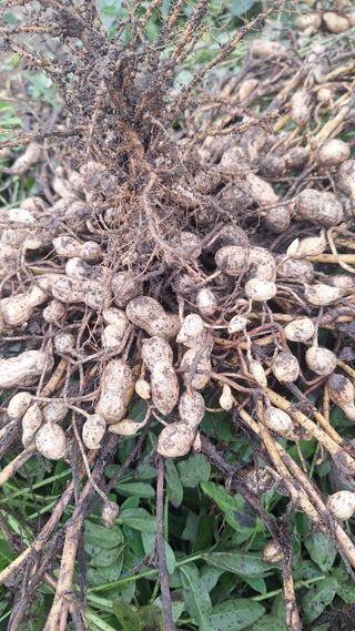 오남현님의 자유주제 · 자유게시판 작성글 사진