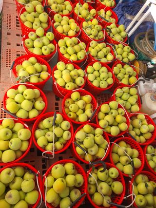 의성,군위 나상덕님의 자유주제 · 자유게시판 작성글 사진