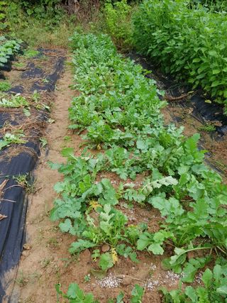 김건호님의 자유주제 · 자유게시판 작성글 사진