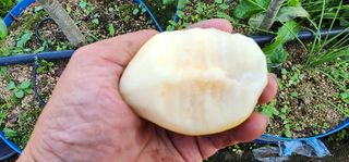 고동옥님의 자유주제 · 사진전 작성글 사진