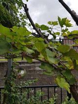 팜모닝 자유주제·자유게시판 게시글 이미지