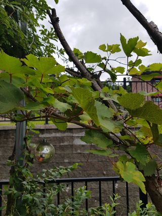 김건호님의 자유주제 · 자유게시판 작성글 사진