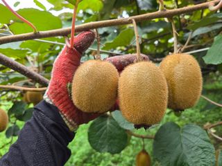 노고단님의 자유주제 · 자유게시판 작성글 사진