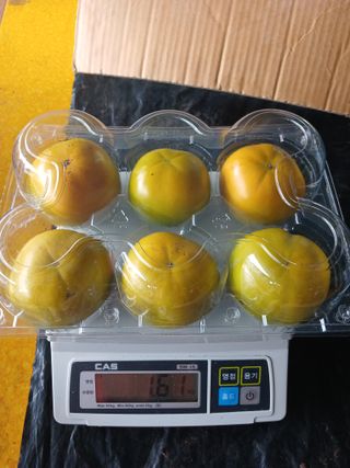 제키님의 자유주제 · 자유게시판 작성글 사진