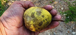 고동옥님의 자유주제 · 사진전 작성글 사진