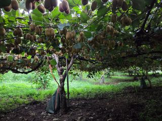 노고단님의 자유주제 · 자유게시판 작성글 사진