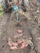 팜모닝 자유주제·자유게시판 게시글 이미지