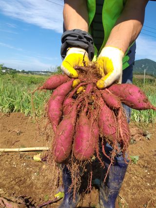 김기한님의 자유주제 · 자유게시판 작성글 사진