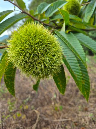 엘림농장님의 자유주제 · 사진전 작성글 사진