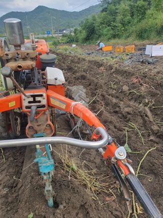 옥천서화농님의 자유주제 · 자유게시판 작성글 사진