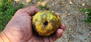 고동옥님의 자유주제 · 사진전 작성글 사진