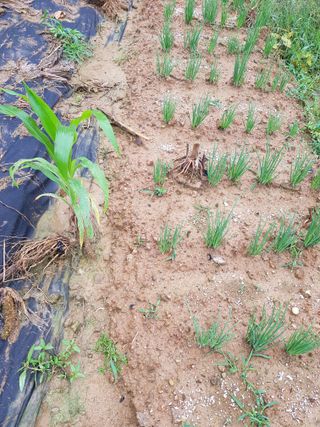 김건호님의 자유주제 · 자유게시판 작성글 사진