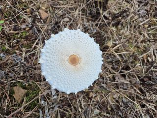 엘림농장님의 자유주제 · 사진전 작성글 사진