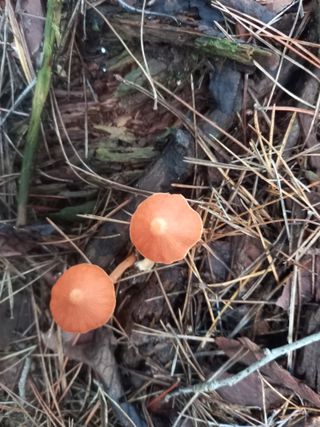 연향님의 자유주제 · 자유게시판 작성글 사진