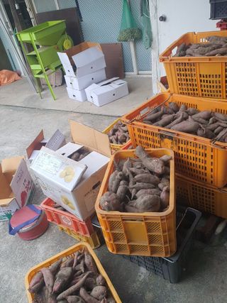 옥천서화농님의 자유주제 · 자유게시판 작성글 사진