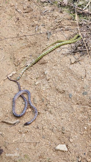 서상진님의 자유주제 · 자유게시판 작성글 사진