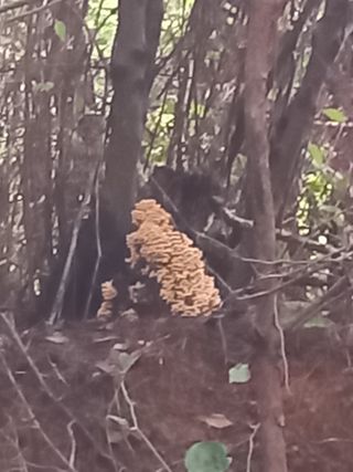 연향님의 자유주제 · 자유게시판 작성글 사진