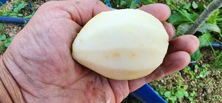 고동옥님의 자유주제 · 사진전 작성글 사진