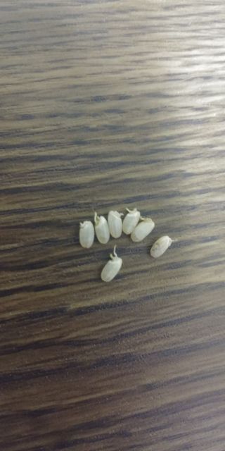 김관수회원님의 작성글 사진